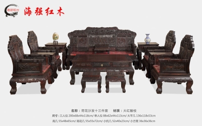 �����֦�ɻ�ɳ��