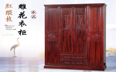 ����֦�¹�