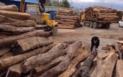 ��黨��ƾʲô����ֵһ·����....